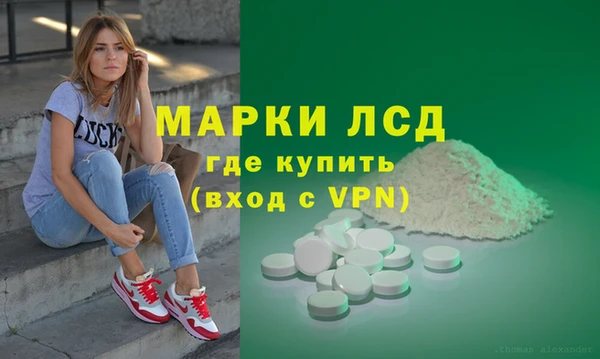 шишки Абаза