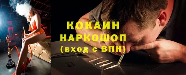 шишки Абаза