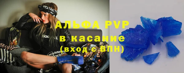 шишки Абаза