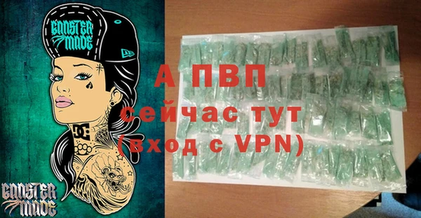 шишки Абаза