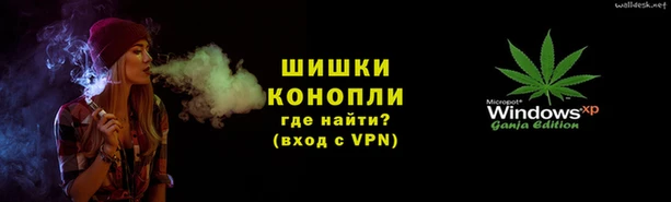 шишки Абаза