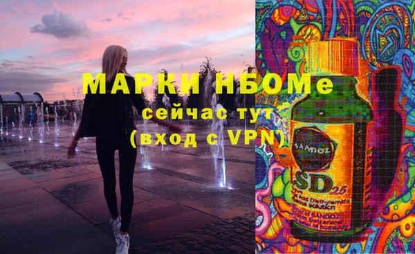 шишки Абаза