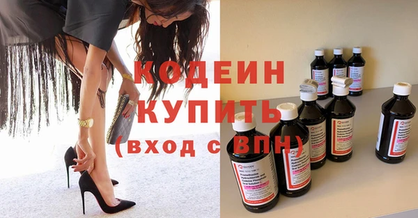 шишки Абаза