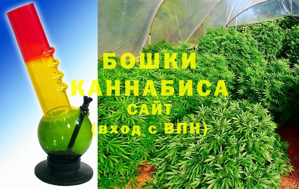 шишки Абаза