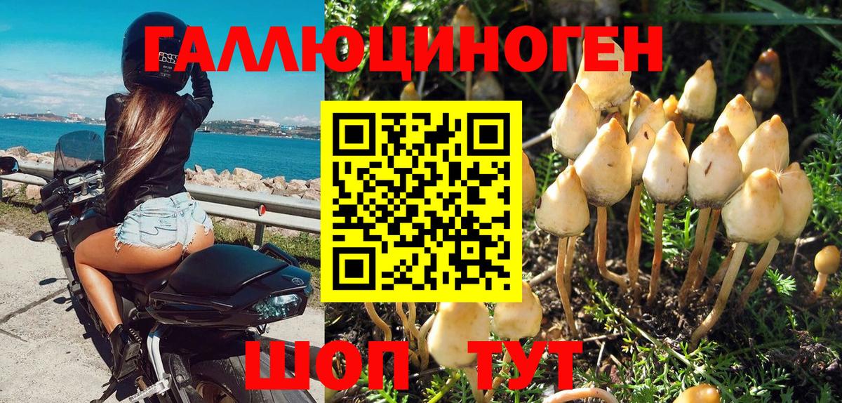 Приморско-Ахтарск  Галлюциногенные грибы ЛСД  Вход с VPN 