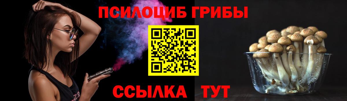Галлюциногенные грибы прущие грибы Приморско-Ахтарск